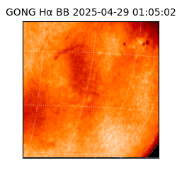 gong - 2025-04-29T01:05:02