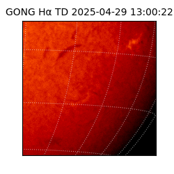 gong - 2025-04-29T13:00:22