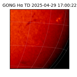 gong - 2025-04-29T17:00:22