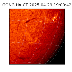 gong - 2025-04-29T19:00:42