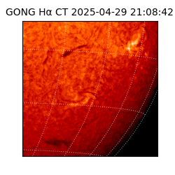 gong - 2025-04-29T21:08:42