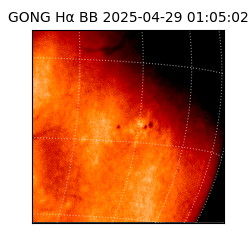 gong - 2025-04-29T01:05:02
