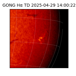gong - 2025-04-29T14:00:22