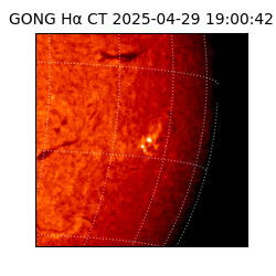 gong - 2025-04-29T19:00:42
