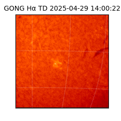 gong - 2025-04-29T14:00:22