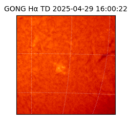gong - 2025-04-29T16:00:22