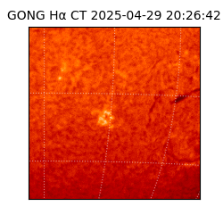 gong - 2025-04-29T20:26:42