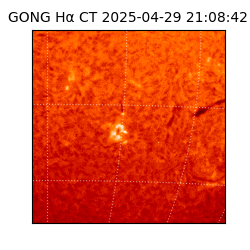 gong - 2025-04-29T21:08:42