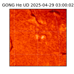 gong - 2025-04-29T03:00:02