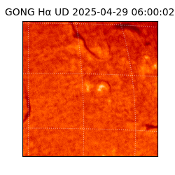 gong - 2025-04-29T06:00:02