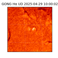gong - 2025-04-29T10:00:02