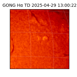 gong - 2025-04-29T13:00:22