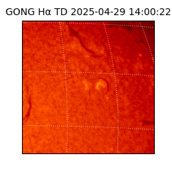 gong - 2025-04-29T14:00:22