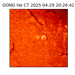 gong - 2025-04-29T20:26:42