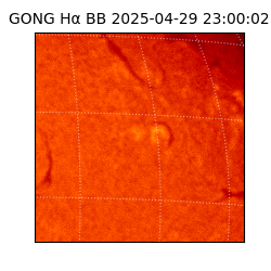 gong - 2025-04-29T23:00:02