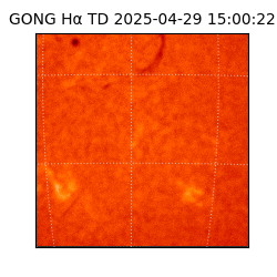 gong - 2025-04-29T15:00:22
