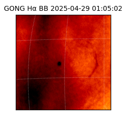 gong - 2025-04-29T01:05:02