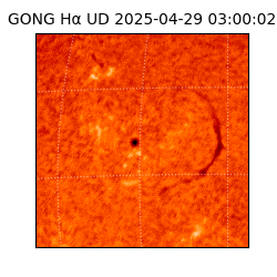gong - 2025-04-29T03:00:02