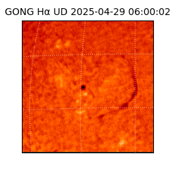 gong - 2025-04-29T06:00:02