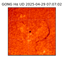 gong - 2025-04-29T07:07:02