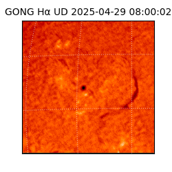 gong - 2025-04-29T08:00:02