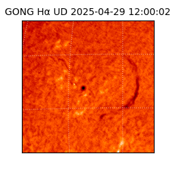 gong - 2025-04-29T12:00:02