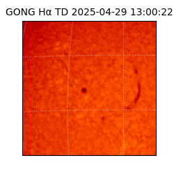 gong - 2025-04-29T13:00:22