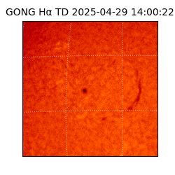 gong - 2025-04-29T14:00:22