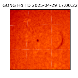 gong - 2025-04-29T17:00:22