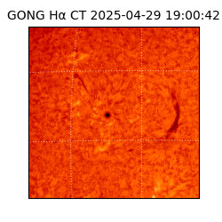 gong - 2025-04-29T19:00:42