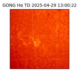 gong - 2025-04-29T13:00:22