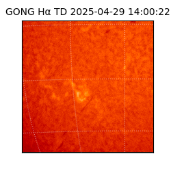 gong - 2025-04-29T14:00:22