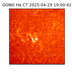 gong - 2025-04-29T19:00:42