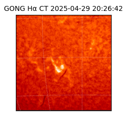 gong - 2025-04-29T20:26:42