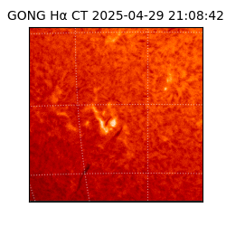 gong - 2025-04-29T21:08:42