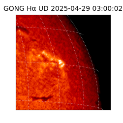 gong - 2025-04-29T03:00:02