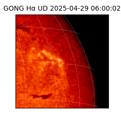 gong - 2025-04-29T06:00:02