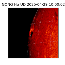 gong - 2025-04-29T10:00:02