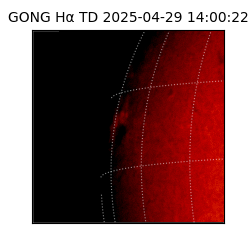 gong - 2025-04-29T14:00:22