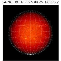 gong - 2025-04-29T14:00:22