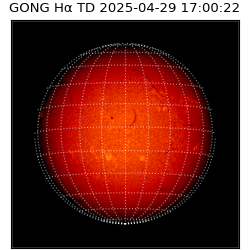 gong - 2025-04-29T17:00:22