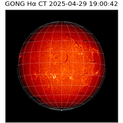 gong - 2025-04-29T19:00:42