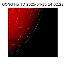 gong - 2025-04-30T14:02:22