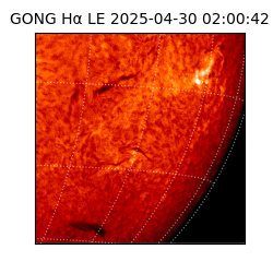 gong - 2025-04-30T02:00:42