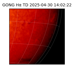 gong - 2025-04-30T14:02:22
