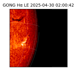 gong - 2025-04-30T02:00:42