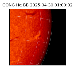 gong - 2025-04-30T01:00:02
