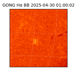 gong - 2025-04-30T01:00:02