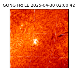 gong - 2025-04-30T02:00:42