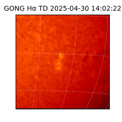 gong - 2025-04-30T14:02:22